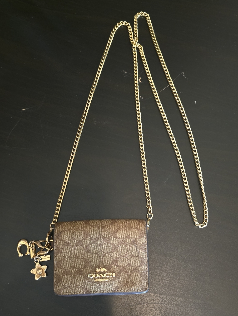 COACH Brown Signature Chain Crossbody Wallet